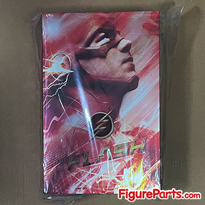 The Flash Hot Toys tms009