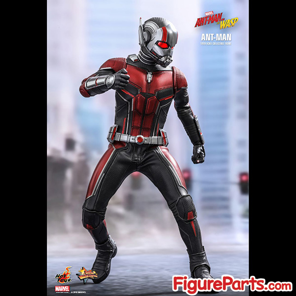 Hot Toys Ant-Man - Ant-Man and the Wasp - mms497 1