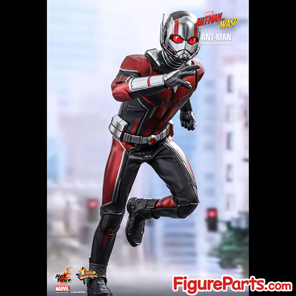 Hot Toys Ant-Man - Ant-Man and the Wasp - mms497 2