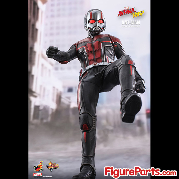 Hot Toys Ant-Man - Ant-Man and the Wasp - mms497 3