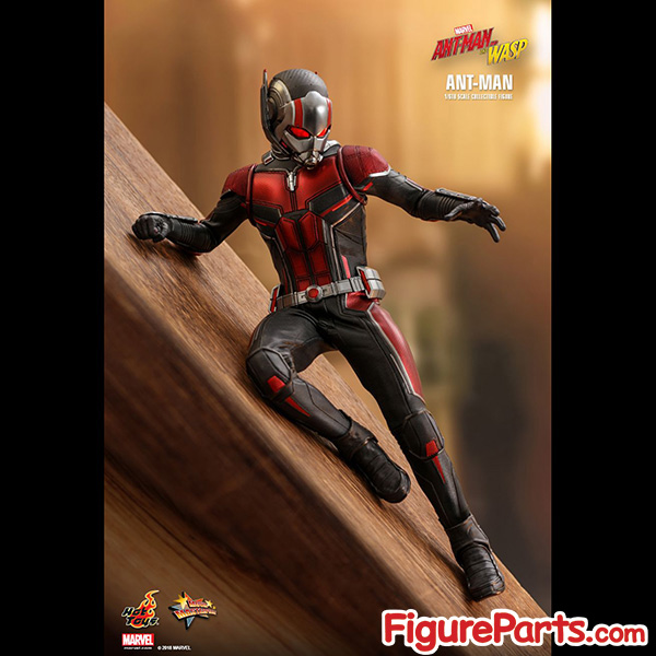 Hot Toys Ant-Man - Ant-Man and the Wasp - mms497 4