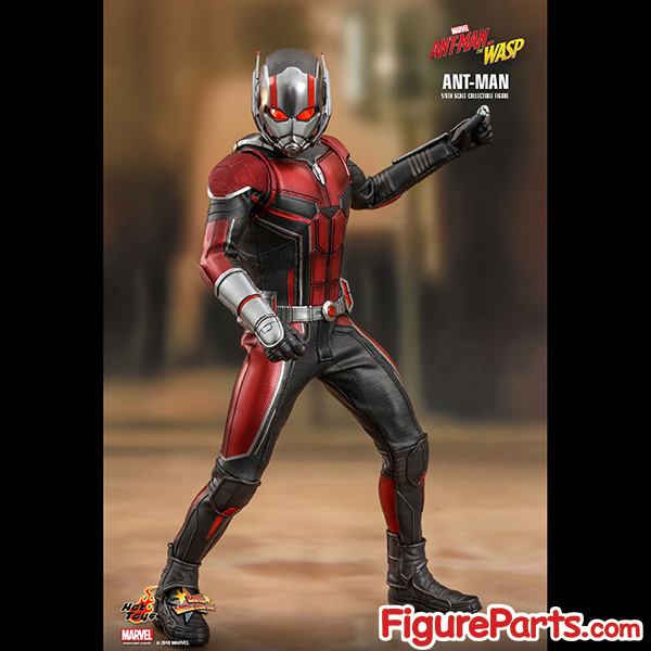 Hot Toys Ant-Man - Ant-Man and the Wasp - mms497 5