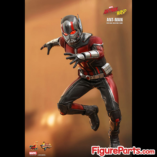 Hot Toys Ant-Man - Ant-Man and the Wasp - mms497 6