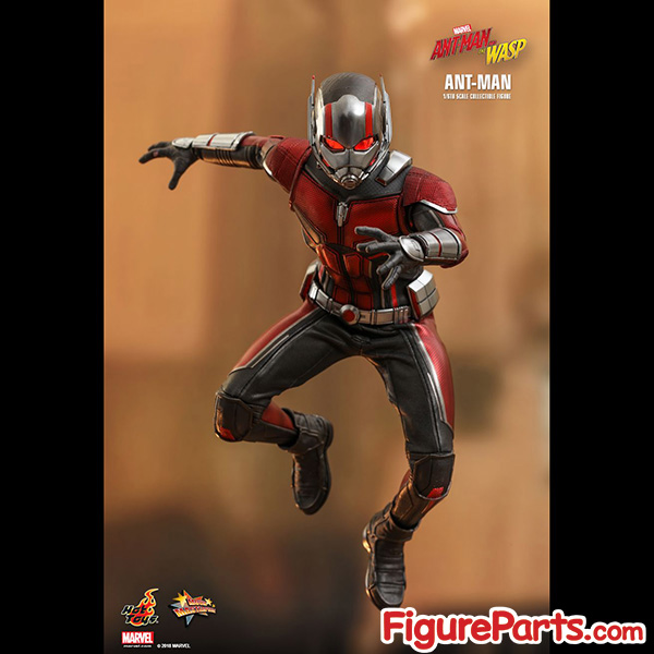 Hot Toys Ant-Man - Ant-Man and the Wasp - mms497 7