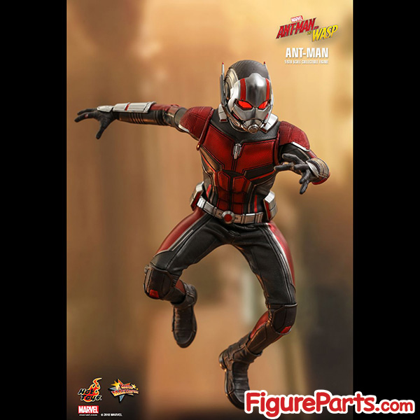Hot Toys Ant-Man - Ant-Man and the Wasp - mms497 8
