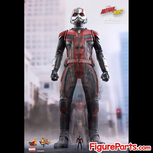 Hot Toys Ant-Man - Ant-Man and the Wasp - mms497 9