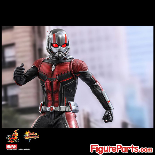 Hot Toys Ant-Man - Ant-Man and the Wasp - mms497 10