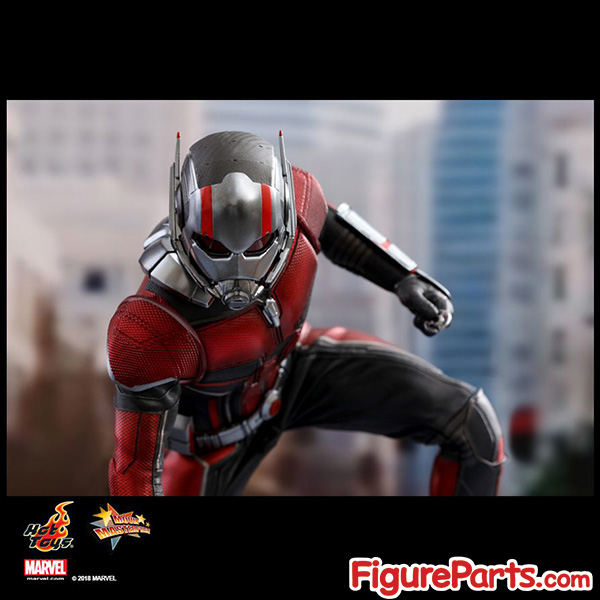 Hot Toys Ant-Man - Ant-Man and the Wasp - mms497 12
