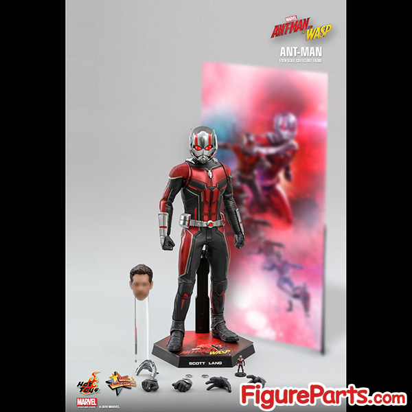 Hot Toys Ant-Man - Ant-Man and the Wasp - mms497 14