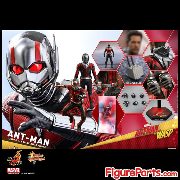 Hot Toys Ant-Man - Ant-Man and the Wasp - mms497 15